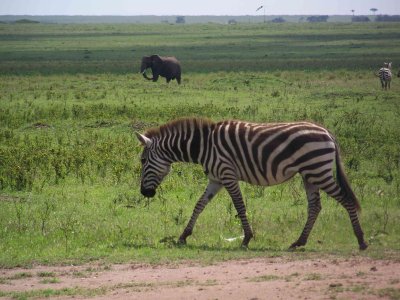 Kenya09-3796