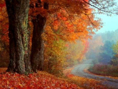 morning mist