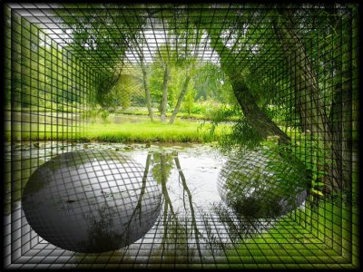 swamp.jpg