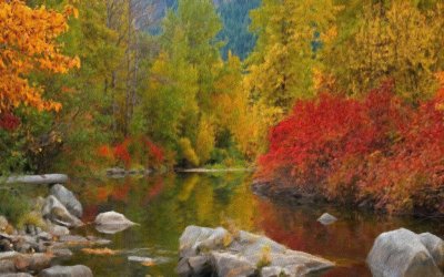  colors of fall