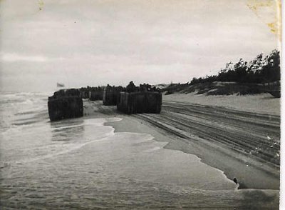 scan0088.jpg