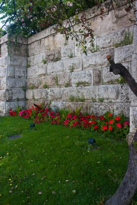 Flowers along wall at City Tour Bus Stop