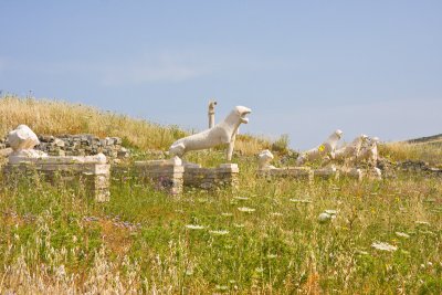 IMG_5168.jpg