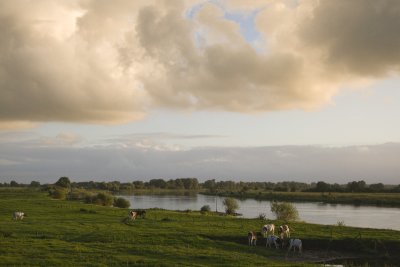 IJsseldal bij Wijhe