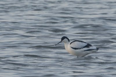 IMG_9757.jpg