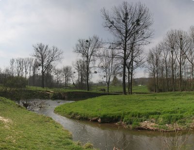 Geul