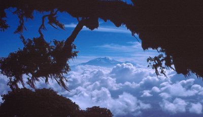 Kilimanjaro