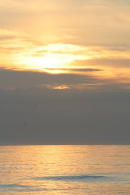 the beach at sunrise