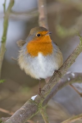 g3/96/890696/3/120593322.M3HjGq4Q.jpg