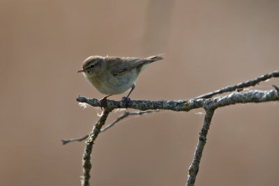 g3/96/890696/3/120859488.uu0YhuxL.jpg