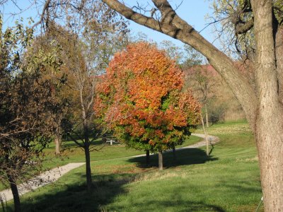 Fall