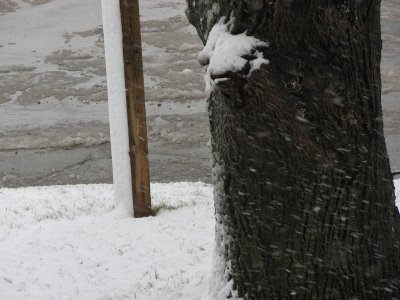 Weather Update...this just in!