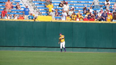 LSU game3 249.jpg