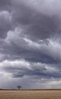 prairie-thunderstorm-III.jpg