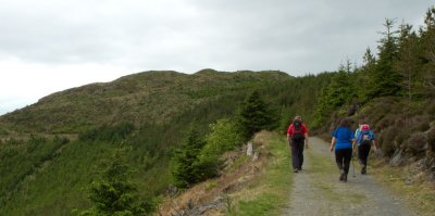 Top comes into view