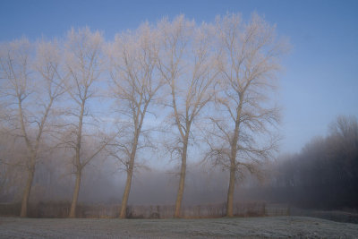 Frosty fog