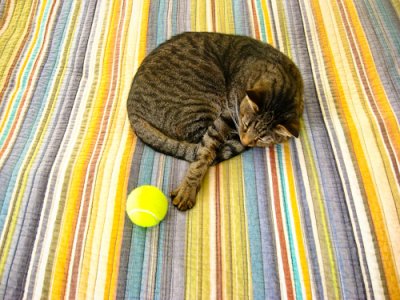 no time to play ball