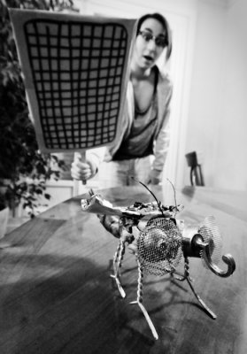 A big fly