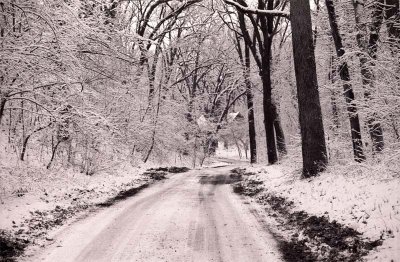 Wintery Road