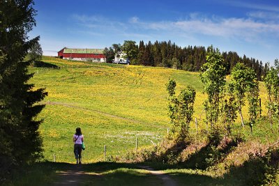 6th Place Spring landscape with female figure by alexeig