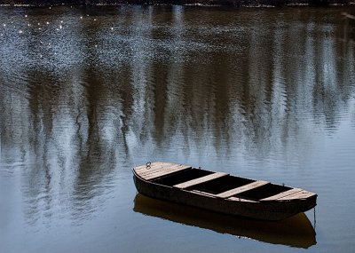 10th Place Backwater by MCsaba