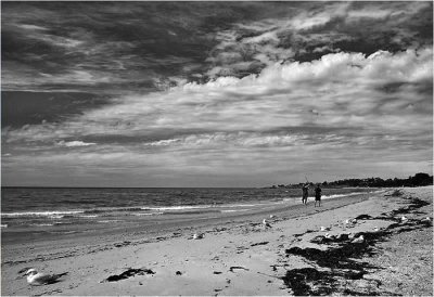 9th Place Cricket On The Beach by Michael Kilpatrick