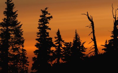 Hurricane Ridge