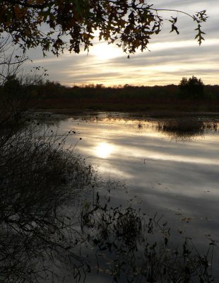 Sunset at the Pond