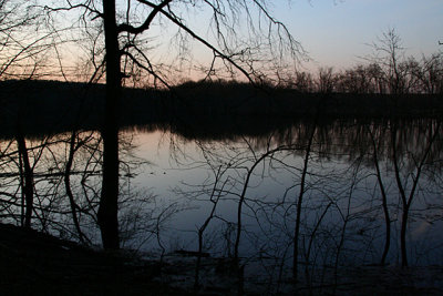 Twilight