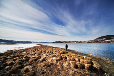 5th Place - A walk on a dry grass I