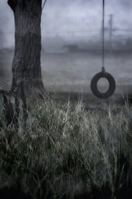 10th Place Tire Without A Kid by shu