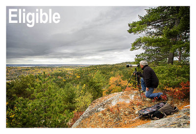 Gallery Header - Eligible
