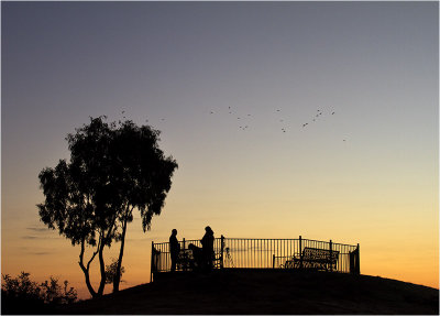8th Place Early Birds by Michael Kilpatrick