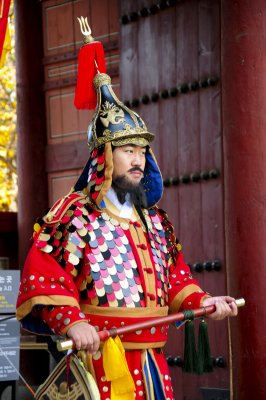 Palace Guard, Seoul (2009)