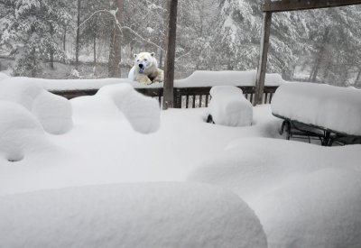 Snowmageddon II, Rockville (2010)