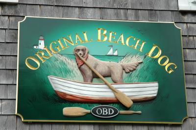 The Original Beach Dog in Chatham, Massachusetts