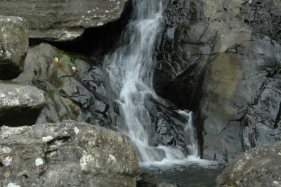 El Yunque waterfall
