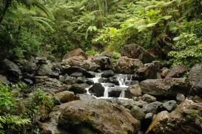 El Yunque waterfall