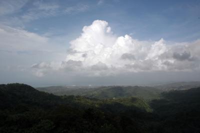 View from the tower in El Yunque