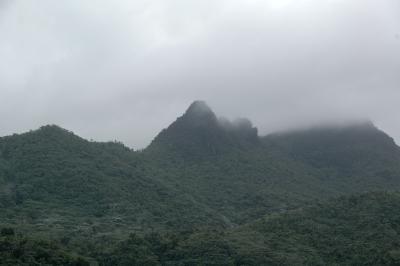 Another view from the tower