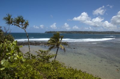 Beach at Hanalei Bay