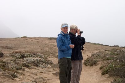 bodega_head