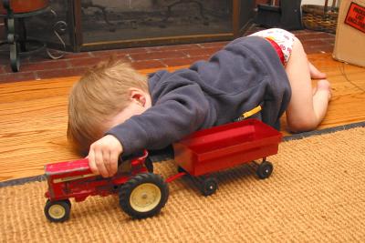 Sam on the farm