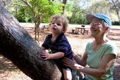 Tree climber with help from grandma Susan