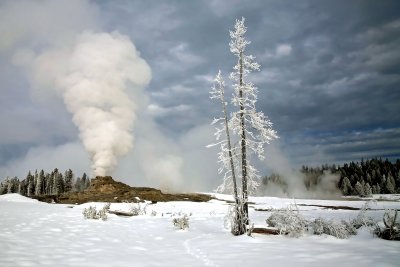 Winter in Yellowstone