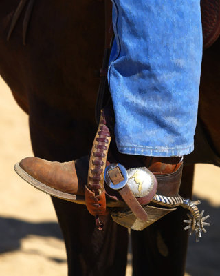 Spur