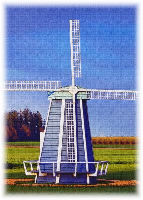 WoodShoe Windmill  