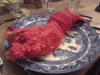 Our lobster for dinner