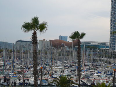 Port Olympic and Barceloneta