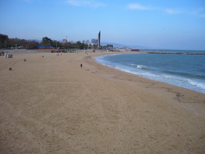 Port Olympic and Barceloneta